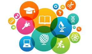 Professional Experience: Google platform