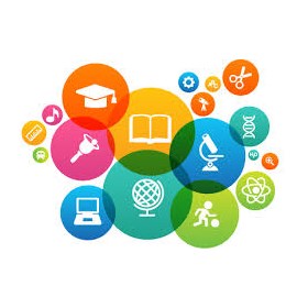 Professional Experience: Google platform